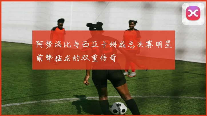 阿努诺比与西亚卡姆成总决赛明星前锋猛龙的双重传奇